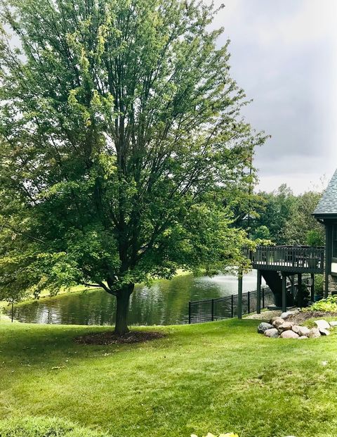 A home in Orland Park