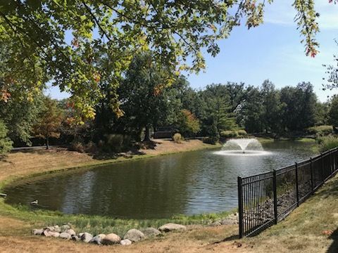 A home in Orland Park