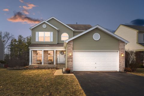 2138 N Green Valley Lane Round Lake Beach IL 60073