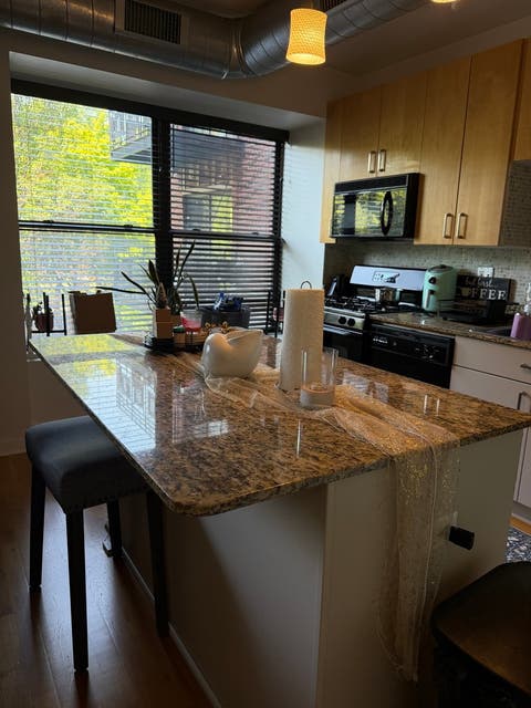 Tiny photo for 4537 S Drexel Boulevard #203, Chicago, IL 60653 (MLS # 12703440)
