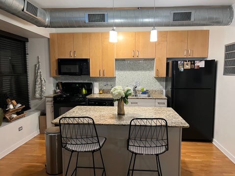 Tiny photo for 4537 S Drexel Boulevard #203, Chicago, IL 60653 (MLS # 12703440)