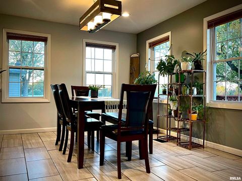 Tiny photo for 112 HILLCREST Drive, Goreville, IL 62939 (MLS # QC4269113)