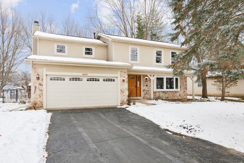 Tiny photo for 820 Red Coach Lane, Algonquin, IL 60102 (MLS # 12534415)