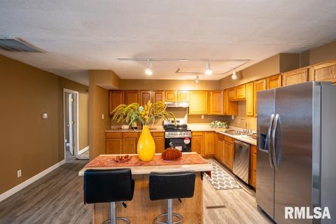 Tiny photo for 1401 S THOMAS Street, Carterville, IL 62918 (MLS # QC4269451)