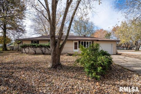 Tiny photo for 1401 S THOMAS Street, Carterville, IL 62918 (MLS # QC4269451)
