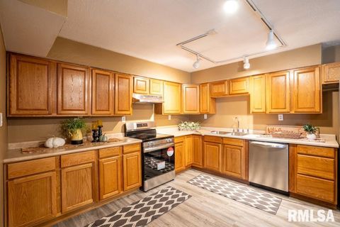 Tiny photo for 1401 S THOMAS Street, Carterville, IL 62918 (MLS # QC4269451)