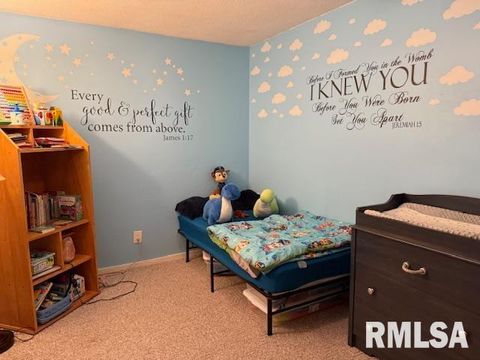 Tiny photo for 404 N MAPLE Street, Christopher, IL 62822 (MLS # EB459557)