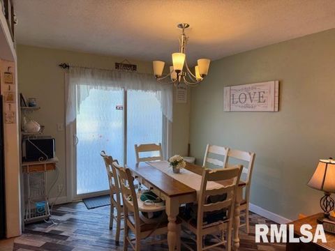 Tiny photo for 404 N MAPLE Street, Christopher, IL 62822 (MLS # EB459557)