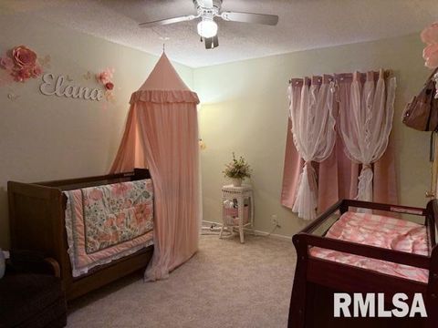 Tiny photo for 404 N MAPLE Street, Christopher, IL 62822 (MLS # EB459557)