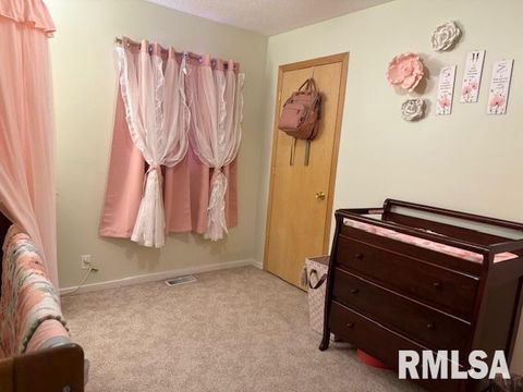 Tiny photo for 404 N MAPLE Street, Christopher, IL 62822 (MLS # EB459557)