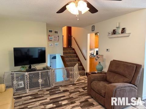 Tiny photo for 404 N MAPLE Street, Christopher, IL 62822 (MLS # EB459557)