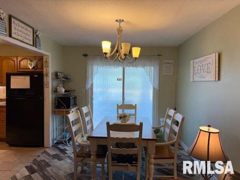 Tiny photo for 404 N MAPLE Street, Christopher, IL 62822 (MLS # EB459557)