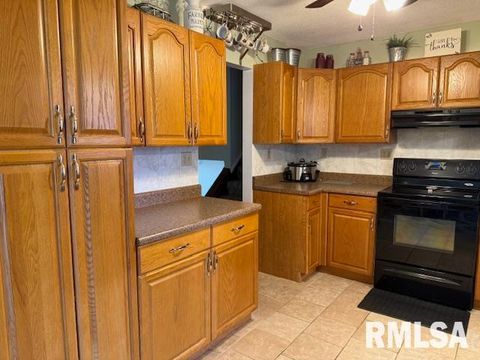 Tiny photo for 404 N MAPLE Street, Christopher, IL 62822 (MLS # EB459557)