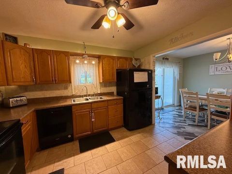 Tiny photo for 404 N MAPLE Street, Christopher, IL 62822 (MLS # EB459557)