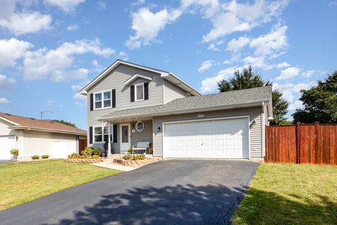 378 Brink Drive Joliet IL 60435