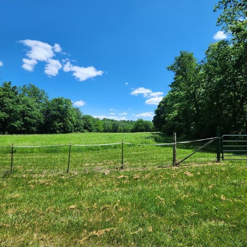 Tiny photo for 294 Lake Thunderbird Drive, Putnam, IL 61560 (MLS # 12737028)