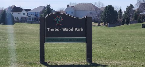 Tiny photo for 12704 Wild Rye Court, Plainfield, IL 60585 (MLS # 12591256)