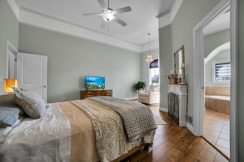 Tiny photo for 12704 Wild Rye Court, Plainfield, IL 60585 (MLS # 12591256)