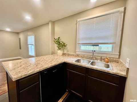 Tiny photo for 314 W 12TH Street, Metropolis, IL 62960 (MLS # EB458376)