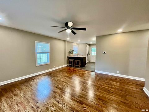 Tiny photo for 314 W 12TH Street, Metropolis, IL 62960 (MLS # EB458376)