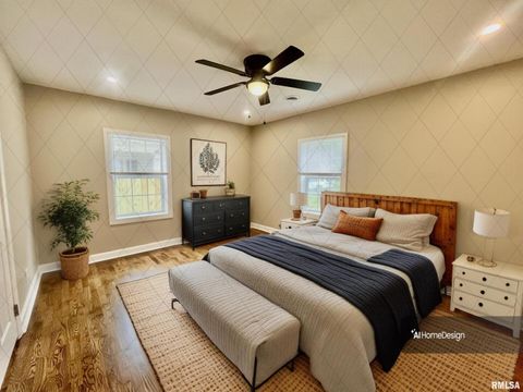 Tiny photo for 314 W 12TH Street, Metropolis, IL 62960 (MLS # EB458376)