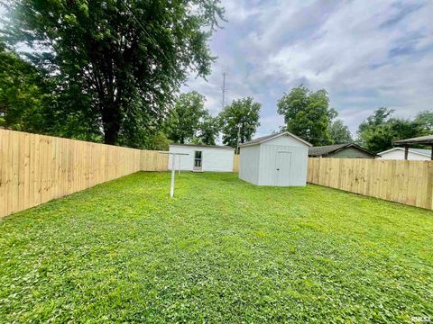 Tiny photo for 314 W 12TH Street, Metropolis, IL 62960 (MLS # EB458376)
