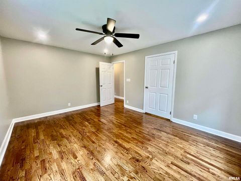 Tiny photo for 314 W 12TH Street, Metropolis, IL 62960 (MLS # EB458376)