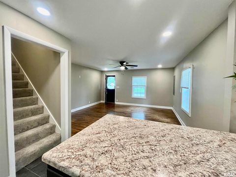 Tiny photo for 314 W 12TH Street, Metropolis, IL 62960 (MLS # EB458376)