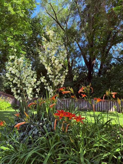 Tiny photo for 940 French Drive, Mundelein, IL 60060 (MLS # 12687776)