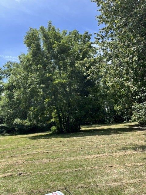 lot 6 218TH Street