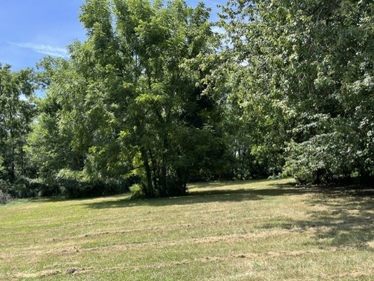 218TH ST, LE CLAIRE, IA 52753 - Image 8a9f4fc96525d001ebdca1fca3550169/535959611