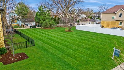 916 Cleveland Avenue Park Ridge IL 60068