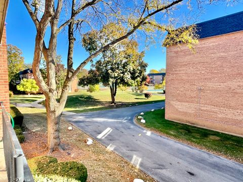 Tiny photo for 1104 N Mill Street #205, Naperville, IL 60563 (MLS # 12559677)