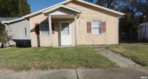 Photo of 310 N 4TH Street, Elkville, IL 62932 (MLS # EB460329)