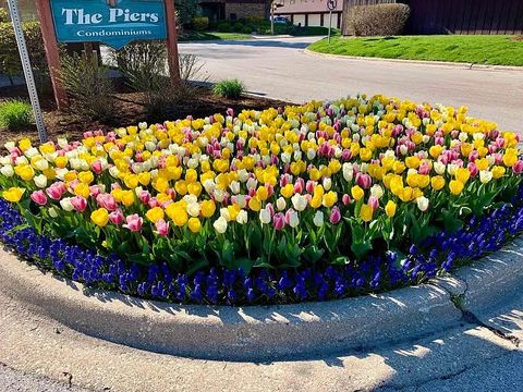 Tiny photo for 73 W Pier Drive #201, Westmont, IL 60559 (MLS # 12573870)