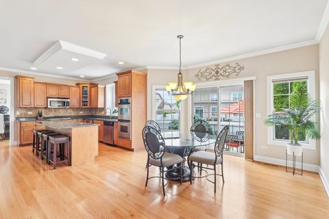Tiny photo for 25323 WILSON Court, Plainfield, IL 60586 (MLS # 12649900)