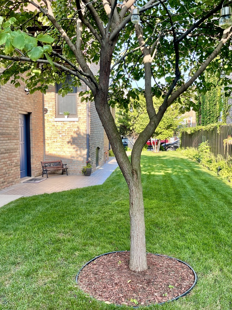 Chicago, Illinois 60647, United States, 3 Bedrooms Bedrooms, ,2 BathroomsBathrooms,Residential,Active,227065