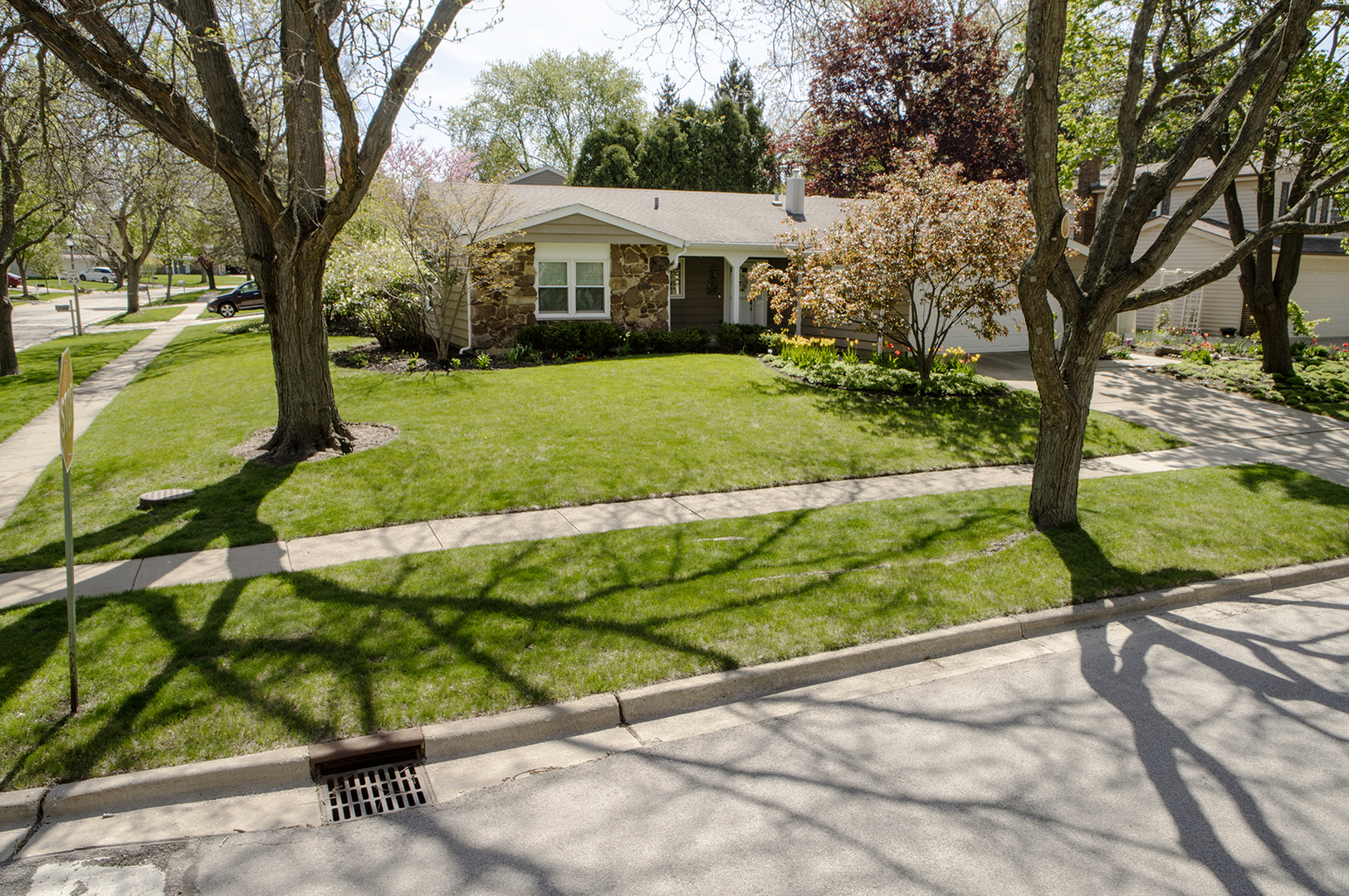 1100 Juniper Parkway