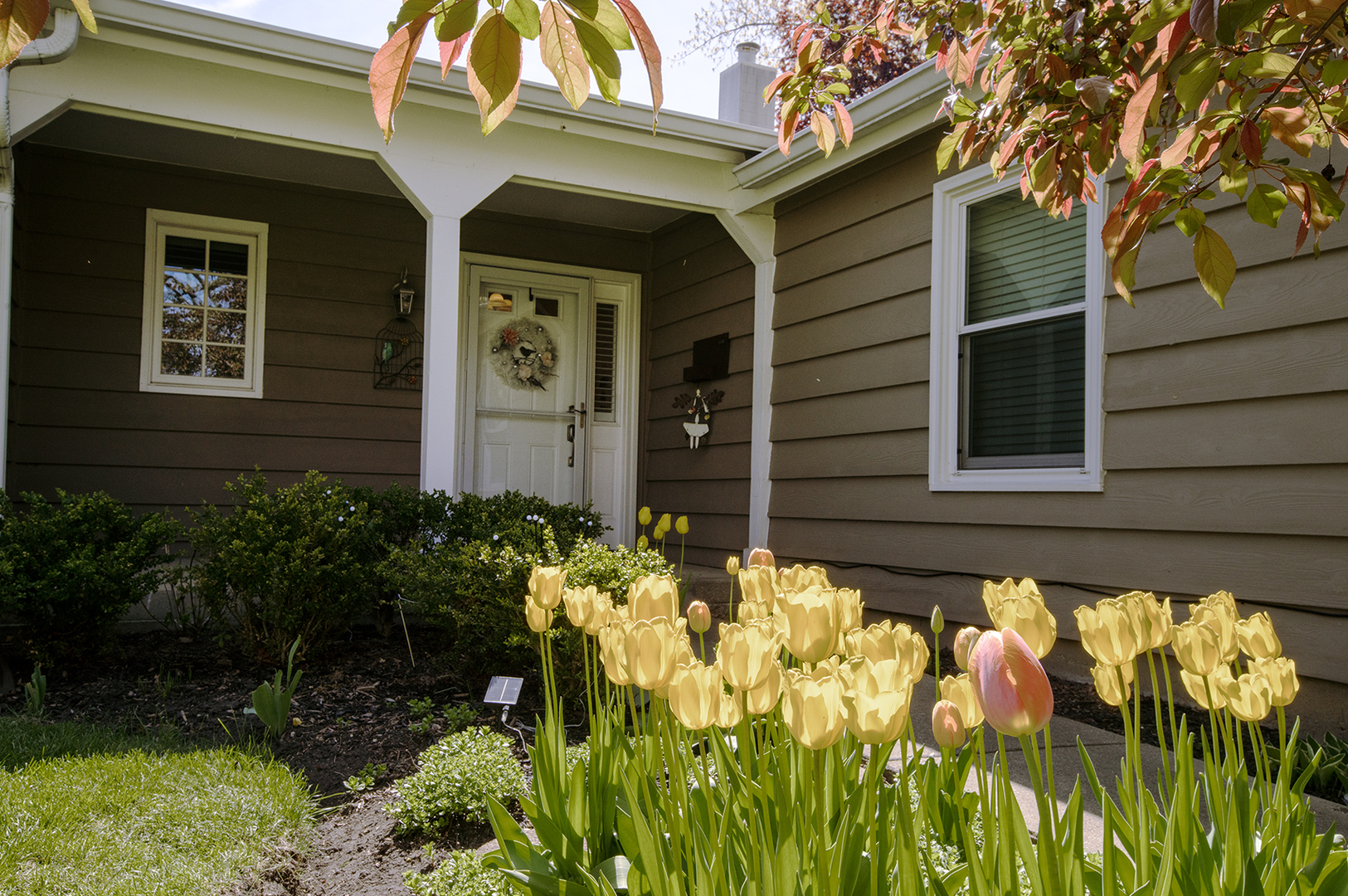 1100 Juniper Parkway