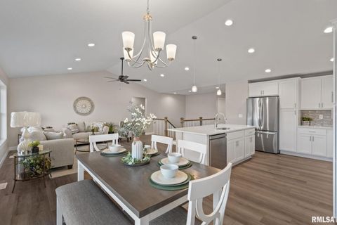 Tiny photo for 1809 E 6TH Street, Coal Valley, IL 61240 (MLS # QC4268847)