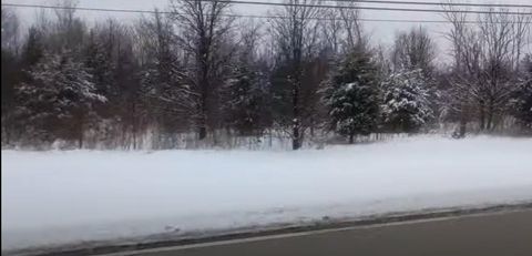 Tiny photo for Vacant Lot W 167th Street, Lockport, IL 60441 (MLS # 12529408)