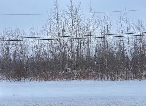 Tiny photo for Vacant Lot W 167th Street, Lockport, IL 60441 (MLS # 12529408)