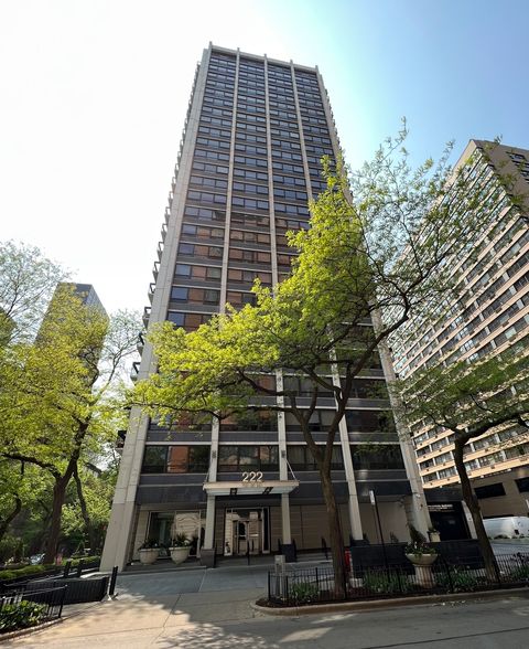 222 E Pearson Street 303 Chicago IL 60611