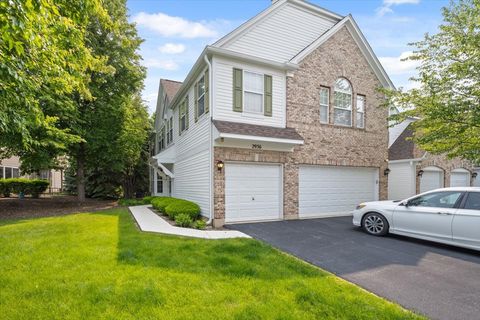 2936 STONEWATER Drive 2936 Naperville IL 60564