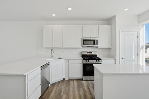 Tiny photo for 329 Settlers Place, West Dundee, IL 60118 (MLS # 12602440)