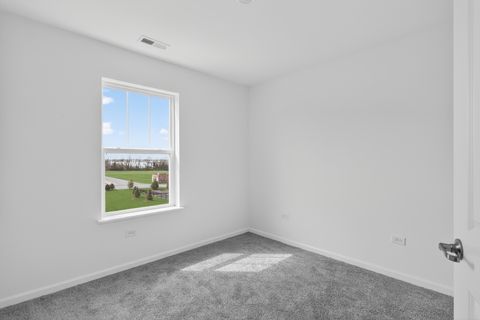 Tiny photo for 329 Settlers Place, West Dundee, IL 60118 (MLS # 12602440)