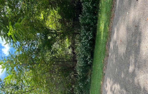 MLS: 12635578