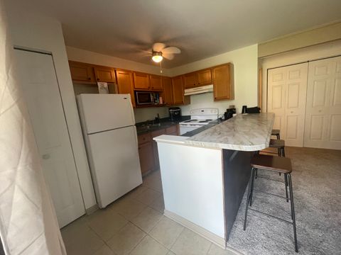 Tiny photo for 45 Nassau Colony #4, Fox Lake, IL 60020 (MLS # 12475685)