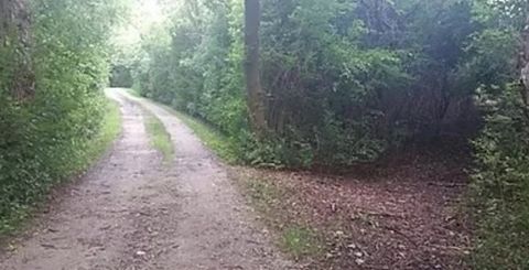 Tiny photo for 45 Nassau Colony #4, Fox Lake, IL 60020 (MLS # 12475685)