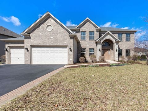 1866 Snead Street Bolingbrook IL 60490